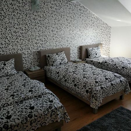 Pensiunea Vladut Timisoara Bagian luar foto