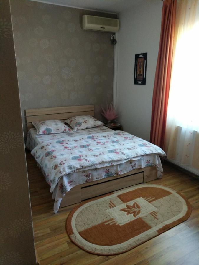 Pensiunea Vladut Timisoara Bagian luar foto