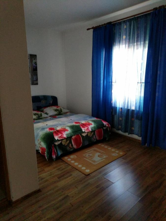 Pensiunea Vladut Timisoara Bagian luar foto
