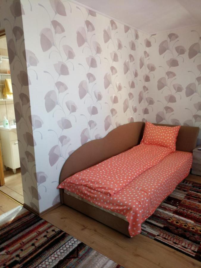 Pensiunea Vladut Timisoara Bagian luar foto