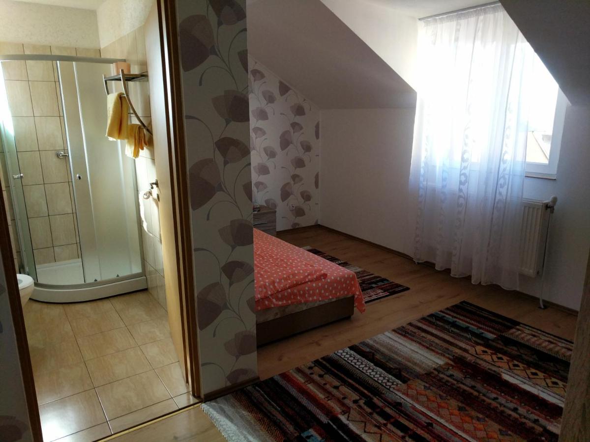 Pensiunea Vladut Timisoara Bagian luar foto